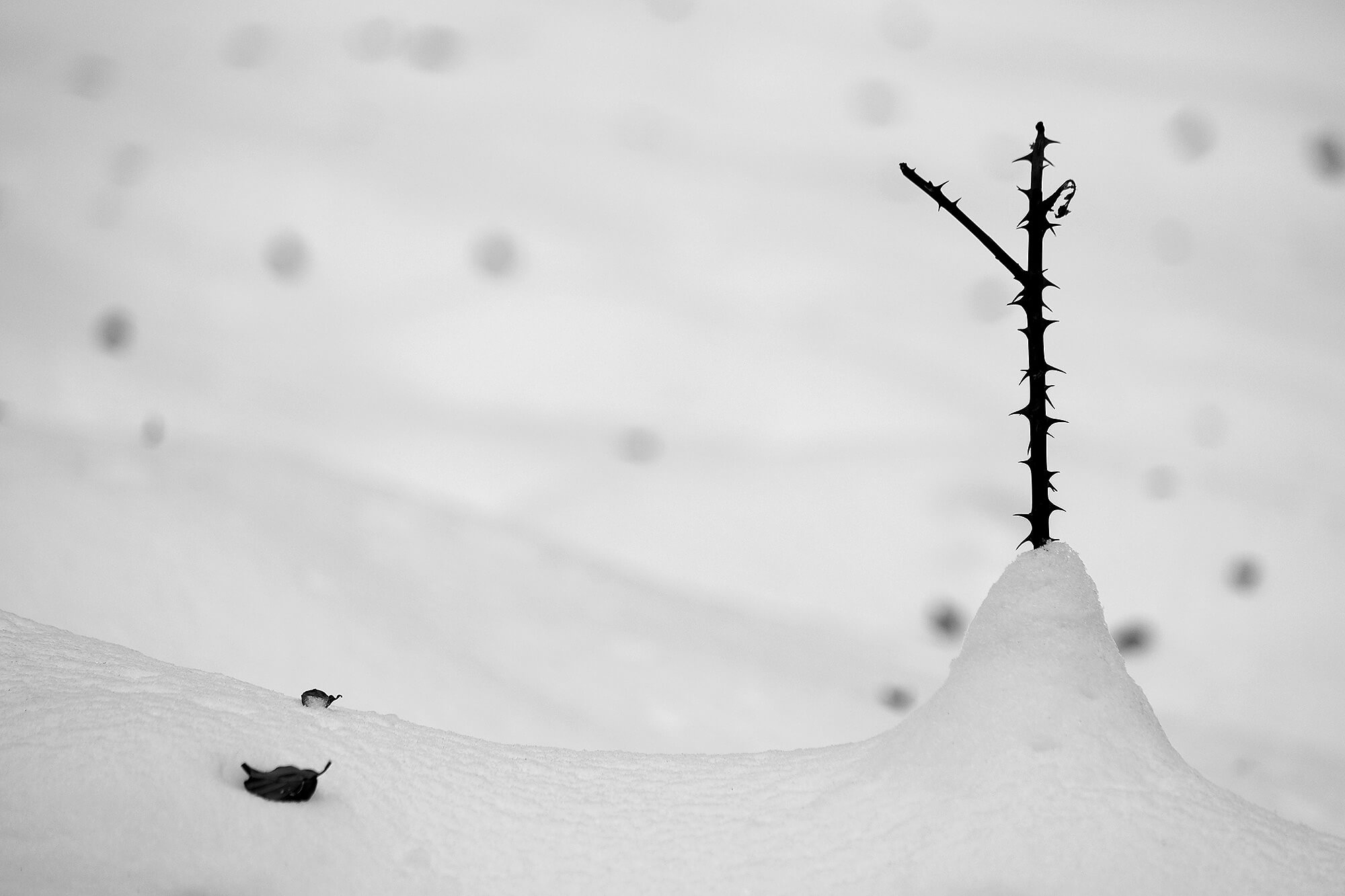 Minimalistische Fotografie 6