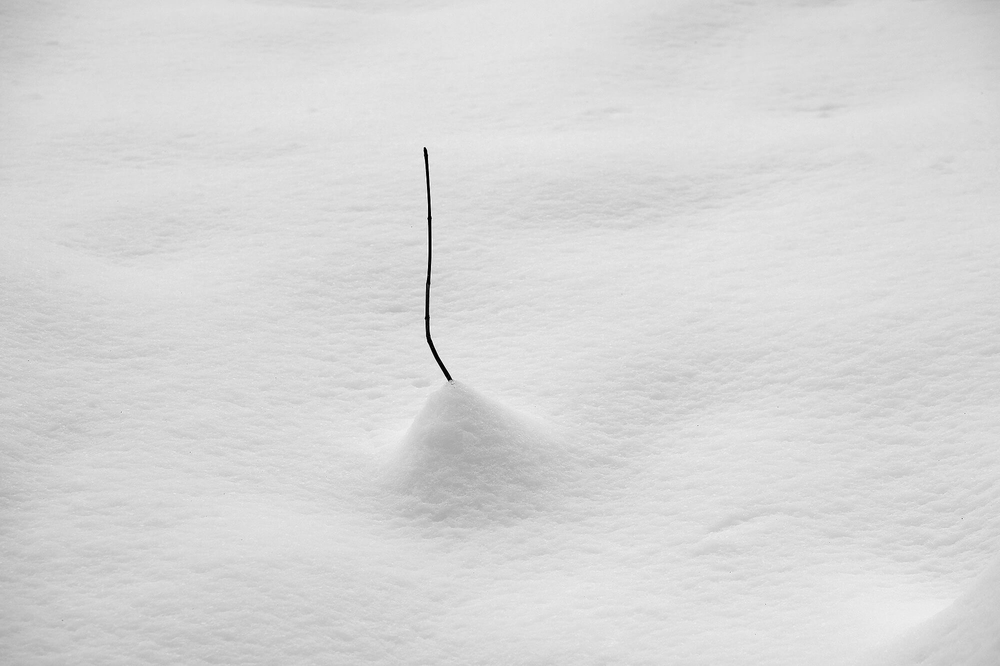 Werk 1 Minimalistische Fotografie 3