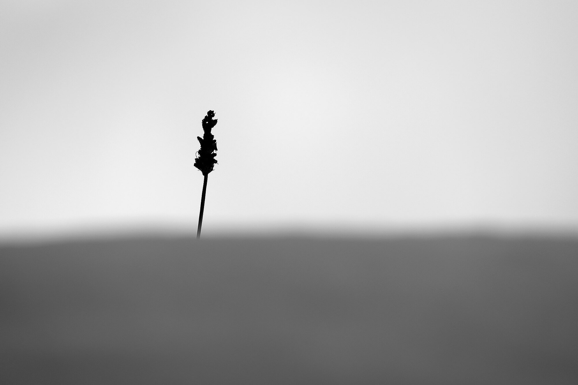 Minimalistische Fotografie 1